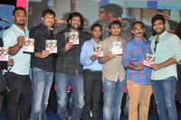 Run Raja Run Audio Launch
